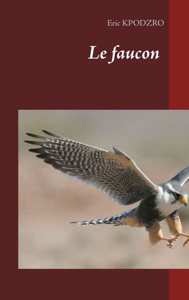 Produktbild: Le faucon