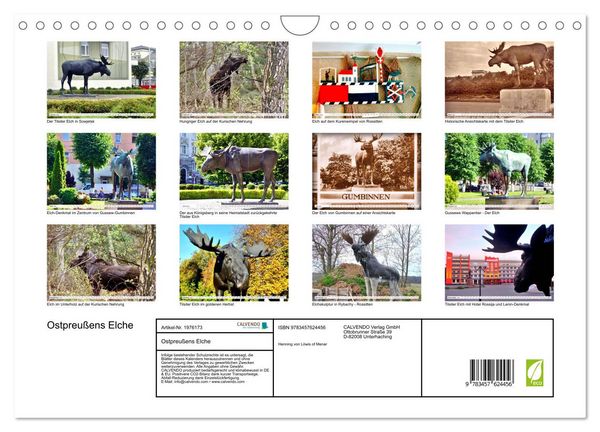Produktbild: Ostpreu&szlig;ens Elche (Wandkalender 2026 DIN A4 quer), CALVENDO Monatskalender