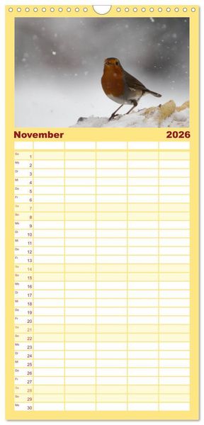 Produktbild: Familienplaner 2026 - Rotkehlchen - Fotografiert von Ostfriesenfotografie mit 5 Spalten (Wandkalender, 21 x 45 cm) CALVENDO