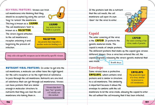 Produktbild: Everything You Need to Ace Biology in One Big Fat Notebook