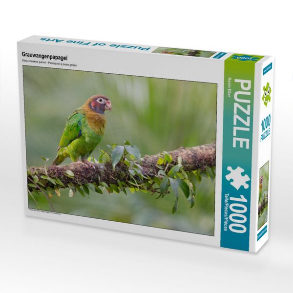 Produktbild: CALVENDO Puzzle Grauwangenpapagei | 1000 Teile Lege-Gr&ouml;&szlig;e 64x48cm Foto-Puzzle f&uuml;r gl&uuml;ckliche Stunden