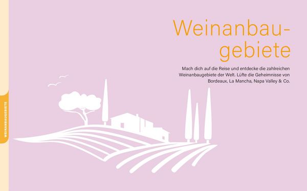Produktbild: Wein I Wissen in R&auml;tseln