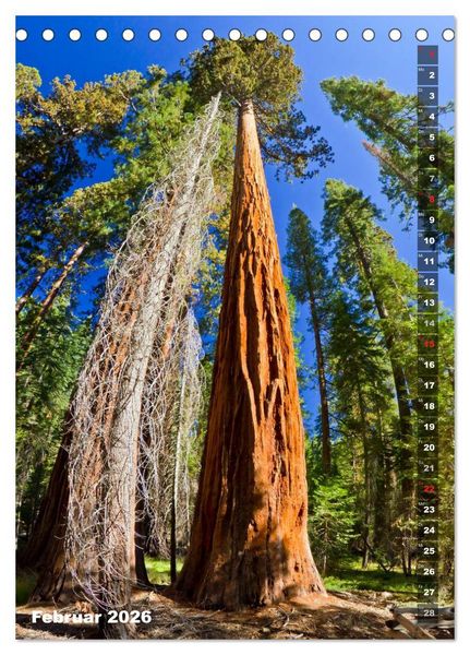 Produktbild: YOSEMITE VALLEY Natur Pur (Tischkalender 2026 DIN A5 hoch), CALVENDO Monatskalender