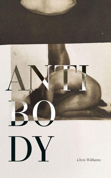 Produktbild: Antibody