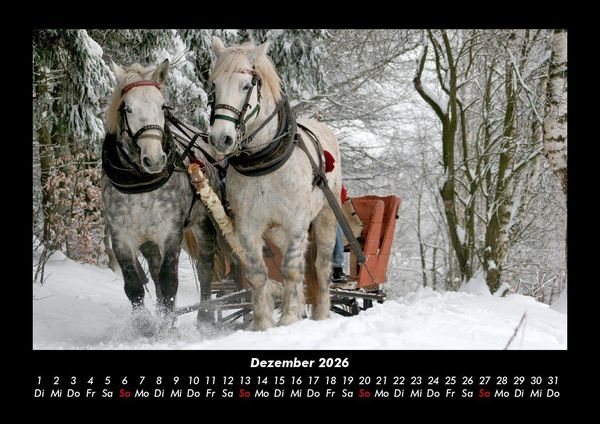 Produktbild: Die Welt der Pferde 2026 Fotokalender DIN A3