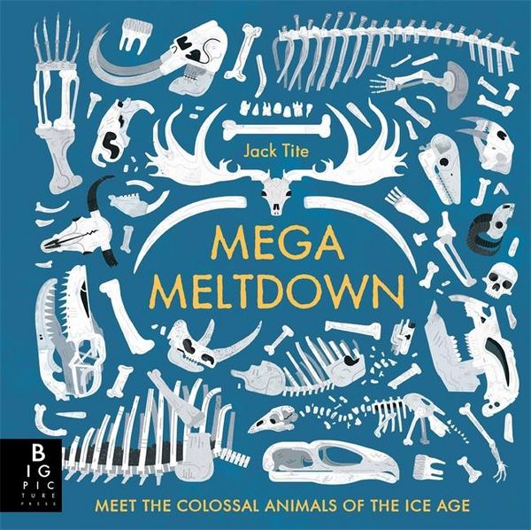 Produktbild: Tite, J: Mega Meltdown