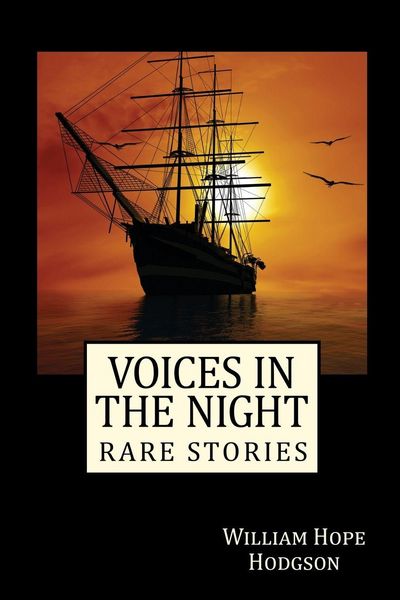 Produktbild: Voices in the Night