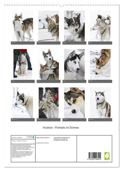 Produktbild: Huskies - Portraits im Schnee (hochwertiger Premium Wandkalender 2026 DIN A2 hoch), Kunstdruck in Hochglanz
