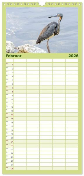Produktbild: Familienplaner 2026 - Blaureiher und Dreifarbenreiher mit 5 Spalten (Wandkalender, 21 x 45 cm) CALVENDO