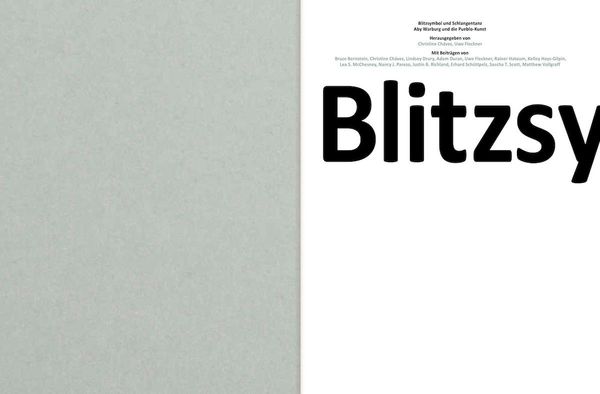 Produktbild: Blitzsymbol und Schlangentanz