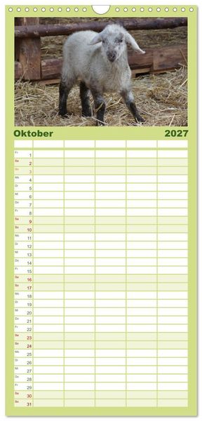 Produktbild: Familienplaner 2027 - Das Leben der Schafe mit 5 Spalten (Wandkalender, 21 x 45 cm) CALVENDO