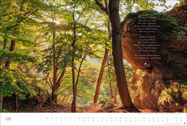 Produktbild: Der deutsche Wald - Ein literarischer Spaziergang Kalender 2027 - Ein literarischer Spaziergang