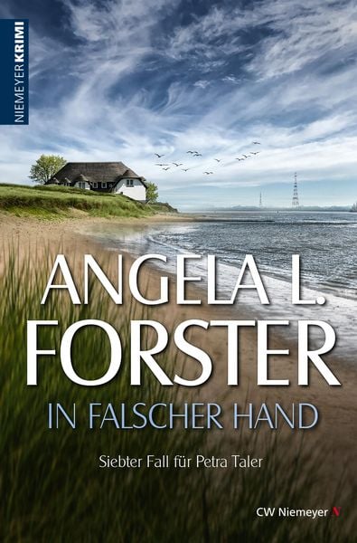 Produktbild: In falscher Hand