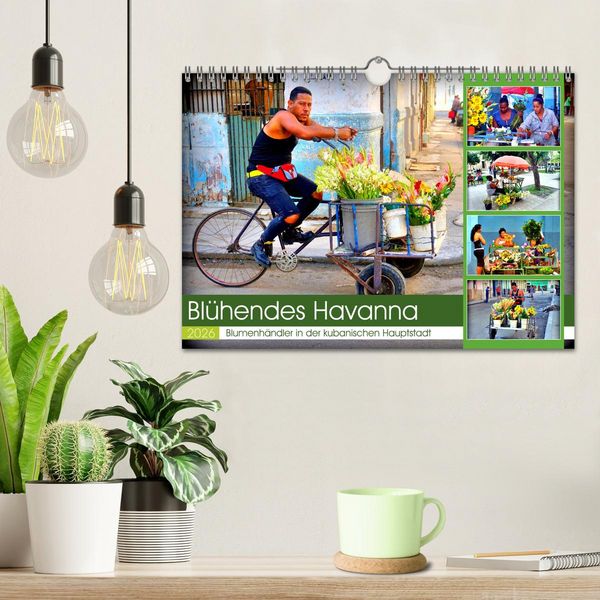 Produktbild: Bl&uuml;hendes Havanna - Blumenh&auml;ndler in der kubanischen Hauptstadt (Wandkalender 2026 DIN A4 quer), CALVENDO Monatskalender