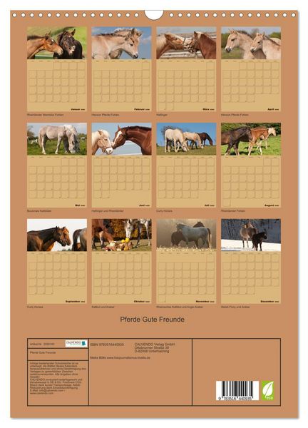 Produktbild: Pferde Gute Freunde (Wandkalender 2026 DIN A3 hoch), CALVENDO Monatskalender