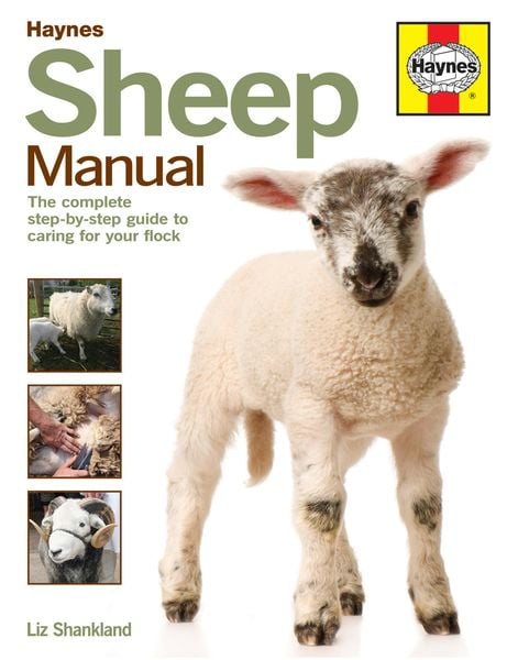 Produktbild: Sheep Manual