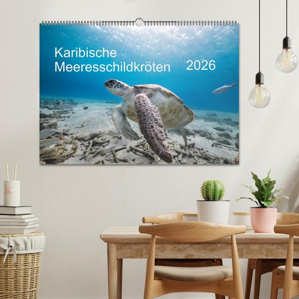 Produktbild: Karibische Meeresschildkr&ouml;ten (Wandkalender 2026 DIN A2 quer), CALVENDO Monatskalender