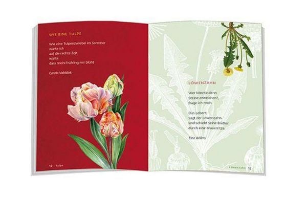 Produktbild: Blumen f&uuml;r das ganze Jahr
