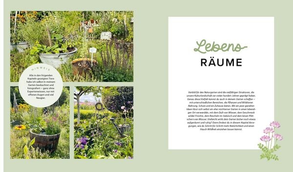 Produktbild: Mein wilder, bunter Garten &ndash;&nbsp;Einfach naturnah g&auml;rtnern