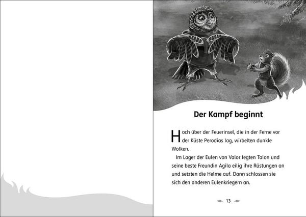 Produktbild: Der letzte Feuerfalke und das magische Ei (Band 13)