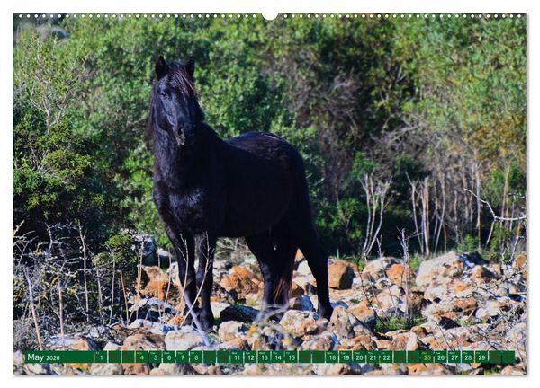 Produktbild: European Island Sardinia (Wall Calendar 2026 DIN A2 landscape), CALVENDO 12 Month Wall Calendar