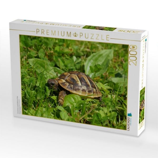 Produktbild: Griechisches Landschildkr&ouml;ten Baby (Puzzle)