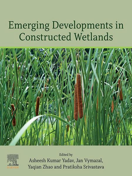 Produktbild: Emerging Developments in Constructed Wetlands
