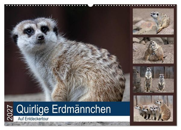 Produktbild: Quirlige Erdm&auml;nnchen (Wandkalender 2027 DIN A2 quer), CALVENDO Monatskalender