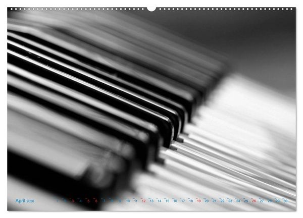 Produktbild: Akkordeon - close up (Wandkalender 2026 DIN A2 quer), CALVENDO Monatskalender