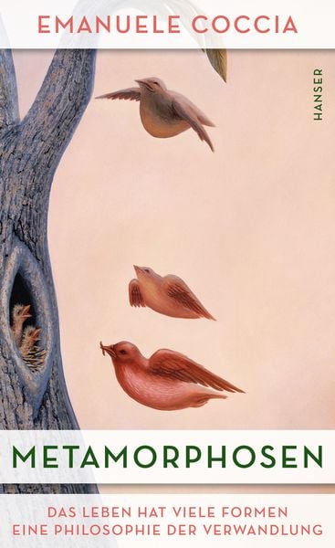 Produktbild: Metamorphosen