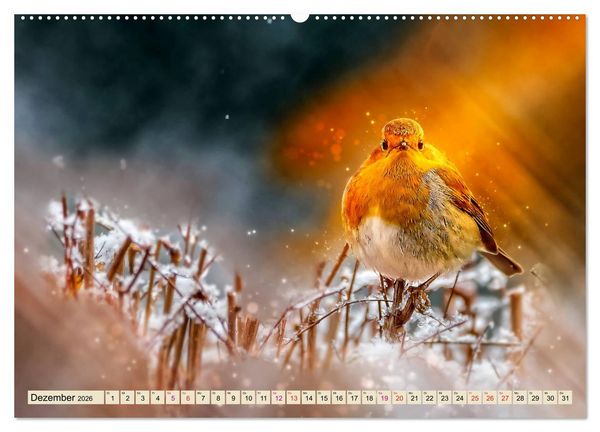 Produktbild: Bei uns im Garten - Rotkehlchen (Wandkalender 2026 DIN A2 quer), CALVENDO Monatskalender