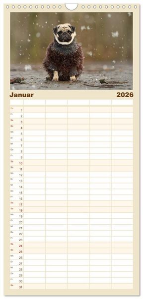 Produktbild: Familienplaner 2026 - Lustige M&ouml;pse aus der Hundeknipserei mit 5 Spalten (Wandkalender, 21 x 45 cm) CALVENDO