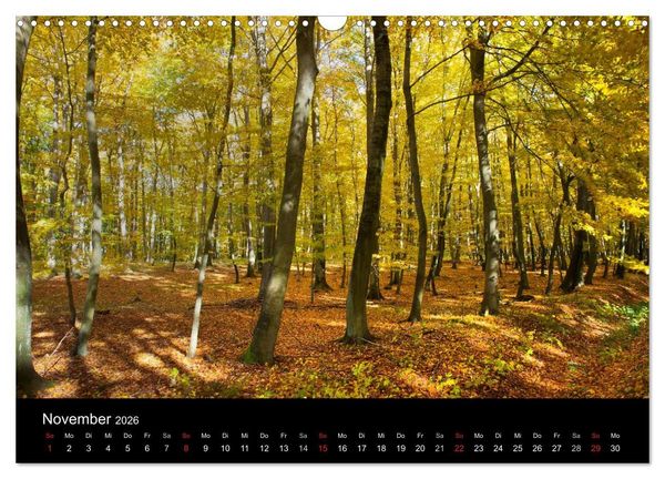 Produktbild: Mecklenburg - Vorpommern (Wandkalender 2026 DIN A3 quer), CALVENDO Monatskalender