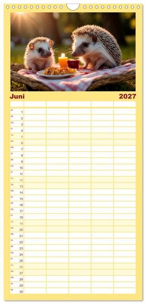 Produktbild: Familienplaner 2027 - Stachelstars mit 5 Spalten (Wandkalender, 21 x 45 cm) CALVENDO