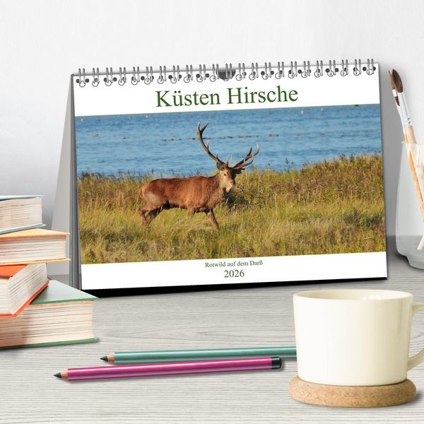 Produktbild: K&uuml;sten Hirsche - Rotwild auf dem Dar&szlig; (Tischkalender 2026 DIN A5 quer), CALVENDO Monatskalender