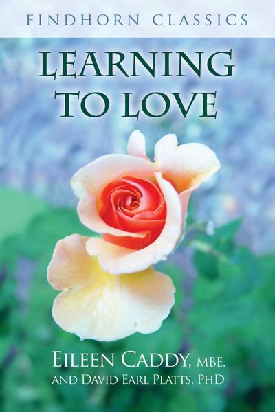 Produktbild: Learning to Love