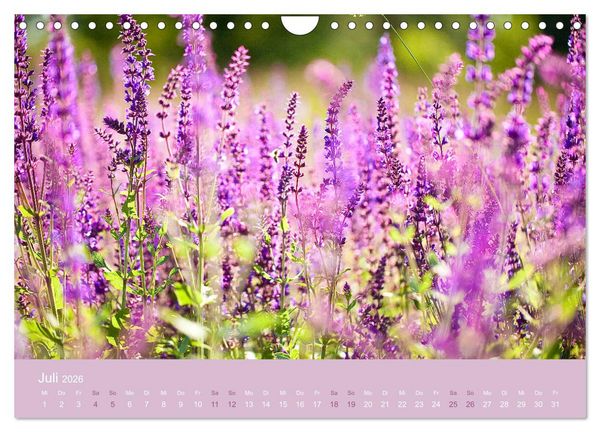 Produktbild: Farbwechsel - Die Farben der vier Jahreszeiten (Wandkalender 2026 DIN A4 quer), CALVENDO Monatskalender