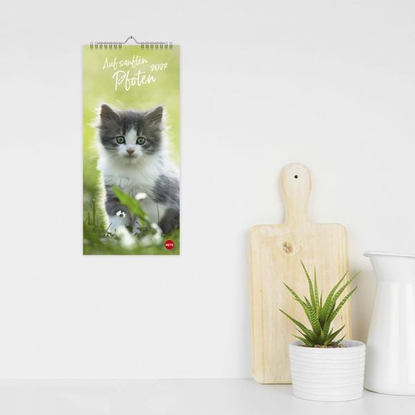 Produktbild: Katzen slim - Auf sanften Pfoten Kalender 2027