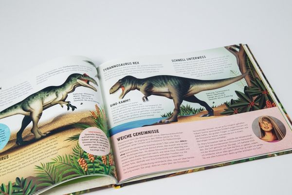 Produktbild: Als Gott die Dinosaurier schuf