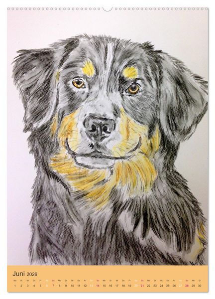 Produktbild: Hunde - Bezaubernde Portraitzeichnungen (hochwertiger Premium Wandkalender 2026 DIN A2 hoch), Kunstdruck in Hochglanz