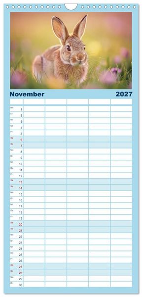 Produktbild: Familienplaner 2027 - Zwischen den Feldern mit 5 Spalten (Wandkalender, 21 x 45 cm) CALVENDO