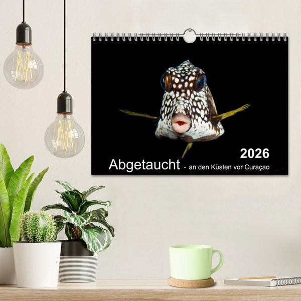 Produktbild: Abgetaucht - an den K&uuml;sten vor Cura&ccedil;ao (Wandkalender 2026 DIN A4 quer), CALVENDO Monatskalender