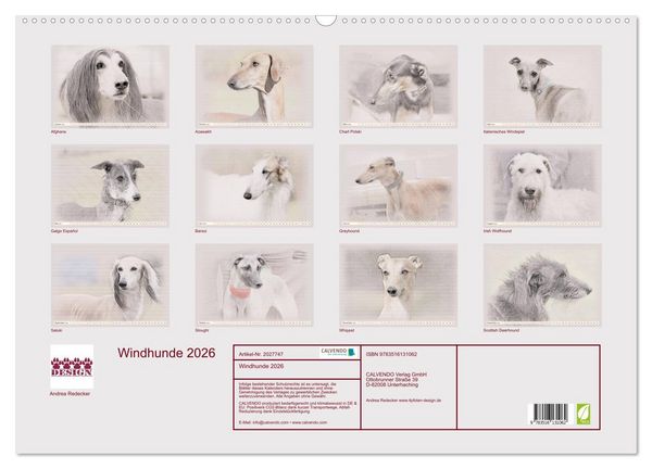 Produktbild: Windhunde 2026 (Wandkalender 2026 DIN A2 quer), CALVENDO Monatskalender