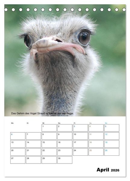 Produktbild: Liebenswerte Landtiere (Tischkalender 2026 DIN A5 hoch), CALVENDO Monatskalender