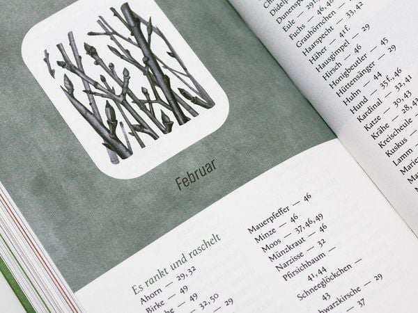 Produktbild: Ein Jahr in der Natur