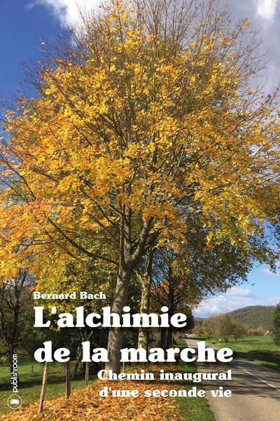 Produktbild: L'alchimie de la marche