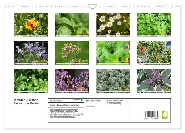 Produktbild: Kr&auml;uter - Gesund, h&uuml;bsch und lecker (Wandkalender 2026 DIN A3 quer), CALVENDO Monatskalender