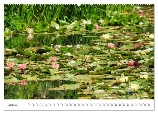 Produktbild: Normandie - zwischen Land und Meer (Wandkalender 2026 DIN A2 quer), CALVENDO Monatskalender