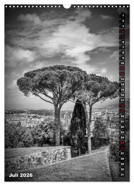 Produktbild: FLORENZ SCHWARZWEI&szlig; (Wandkalender 2026 DIN A3 hoch), CALVENDO Monatskalender