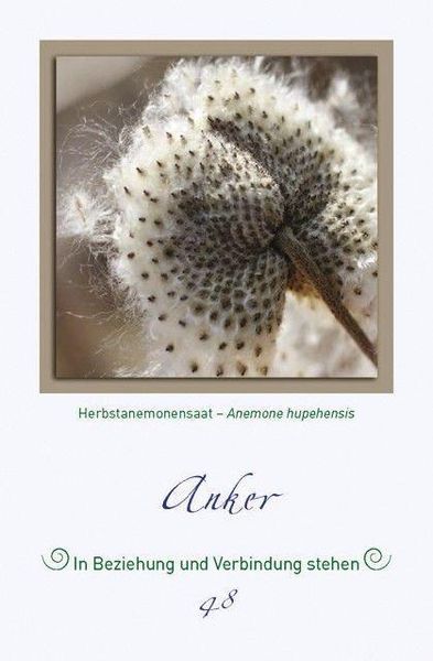 Produktbild: Magische Pflanzenbilder